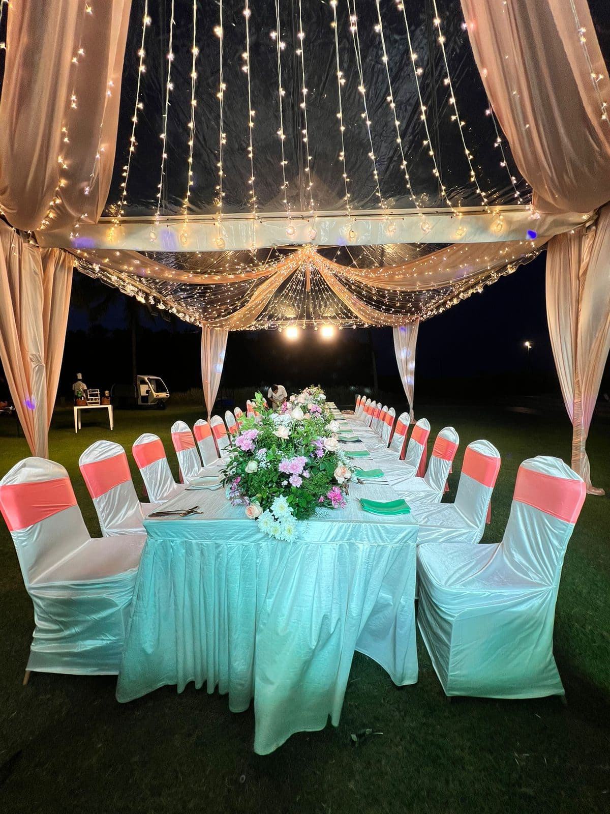 Birthday Party Planning — 1